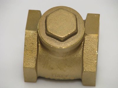 Check Valve Flap Type