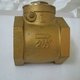 Check Valve Flap Type