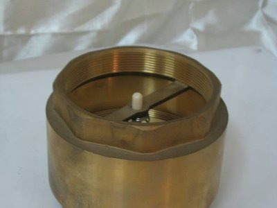 Check Valve Spring Type