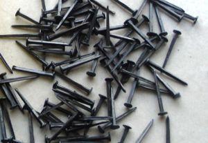 Three Stars Shoe Tacks